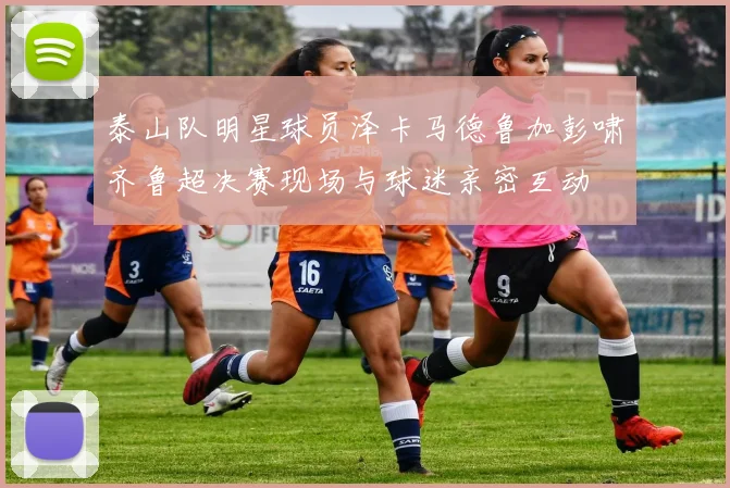 泰山队明星球员泽卡马德鲁加彭啸齐鲁超决赛现场与球迷亲密互动