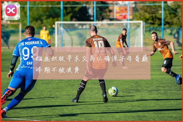 雄鹿积极寻求交易以确保字母哥巅峰期不被浪费